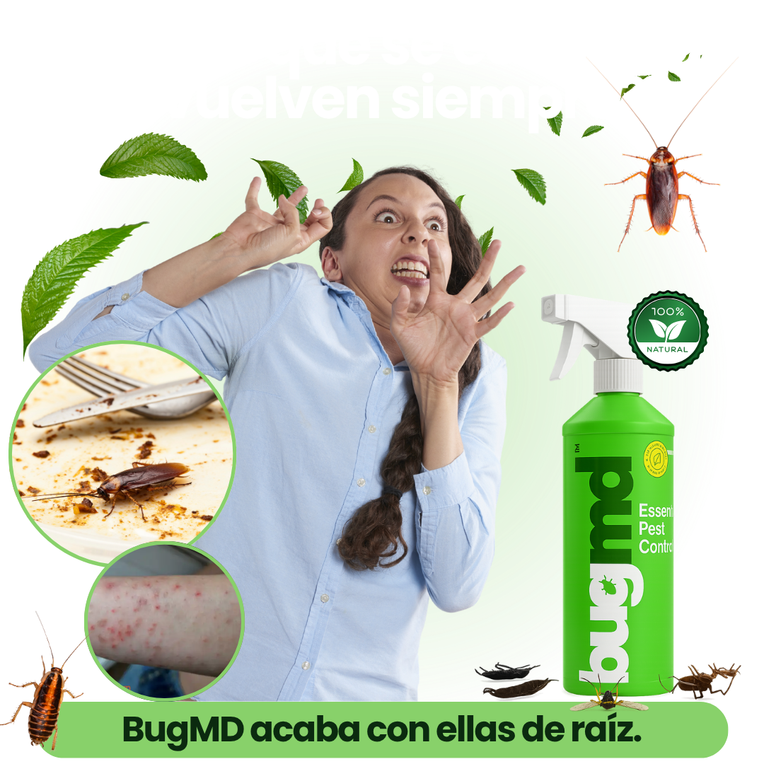 SPRAY INSECTICIDA PLAGAS