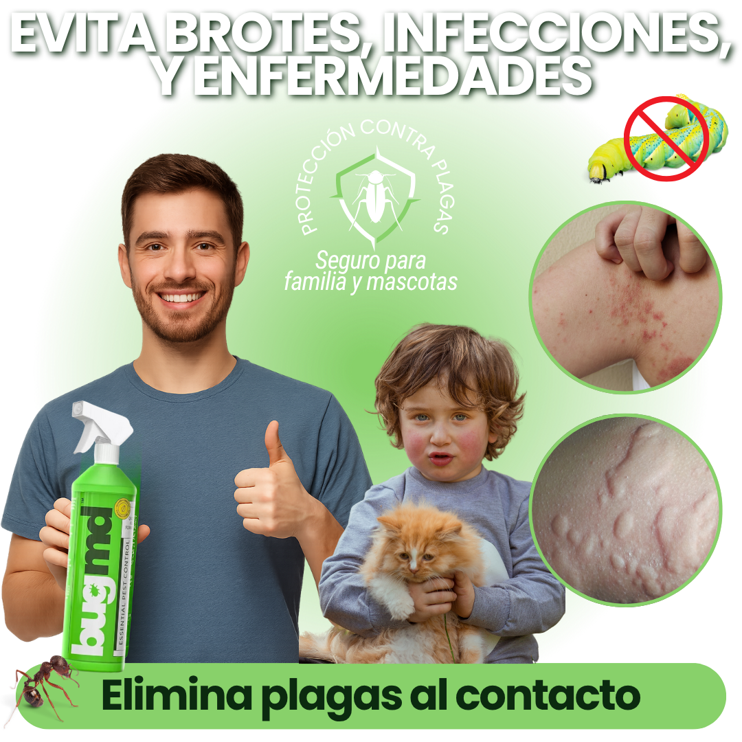 SPRAY INSECTICIDA PLAGAS