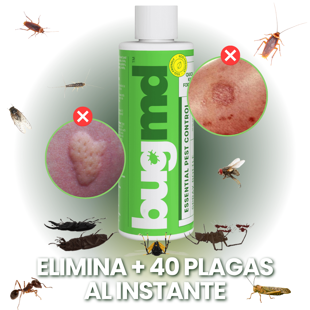 SPRAY INSECTICIDA PLAGAS