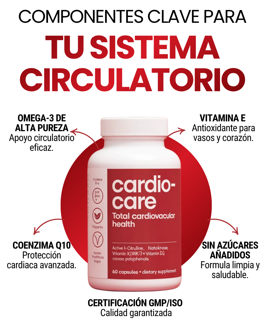 CARDIOCARE SOPORTE CIRCULATORIO