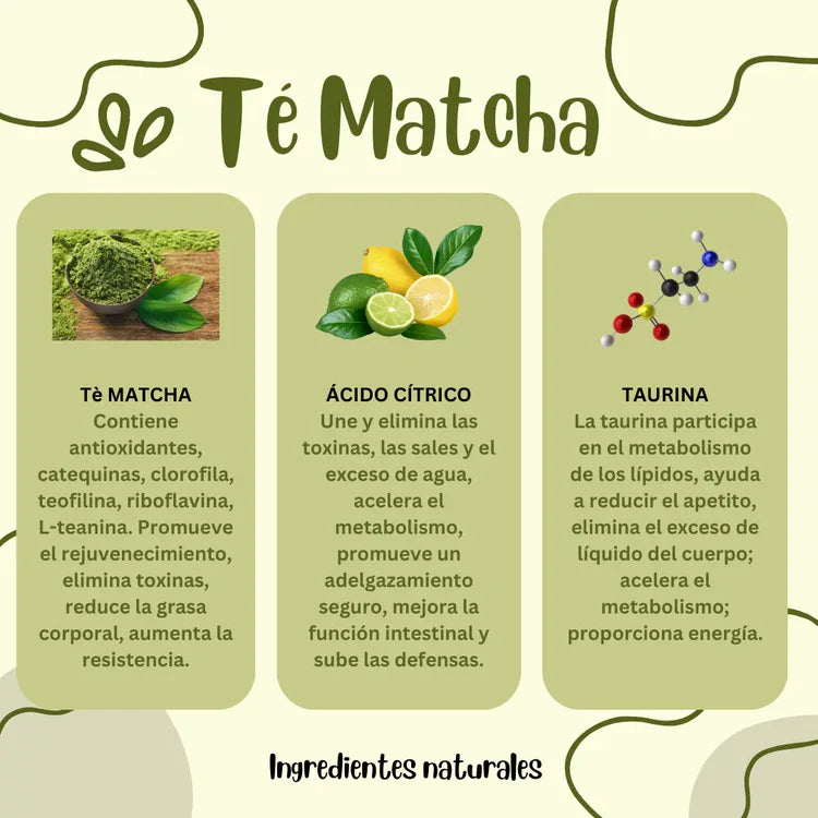 Te Matcha Premium de Semilla Japonesa