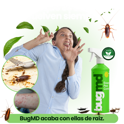 SPRAY INSECTICIDA PLAGAS