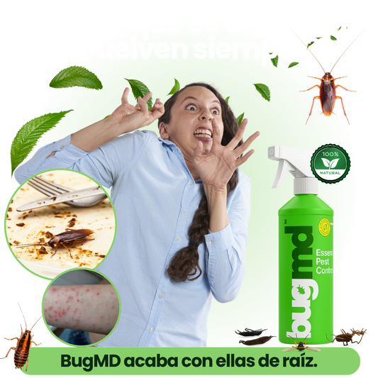 SPRAY INSECTICIDA PLAGAS