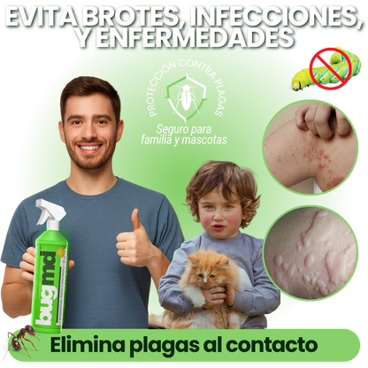 SPRAY INSECTICIDA PLAGAS