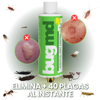 SPRAY INSECTICIDA PLAGAS