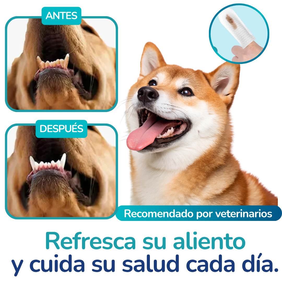 Toalla Limpieza Mascotas