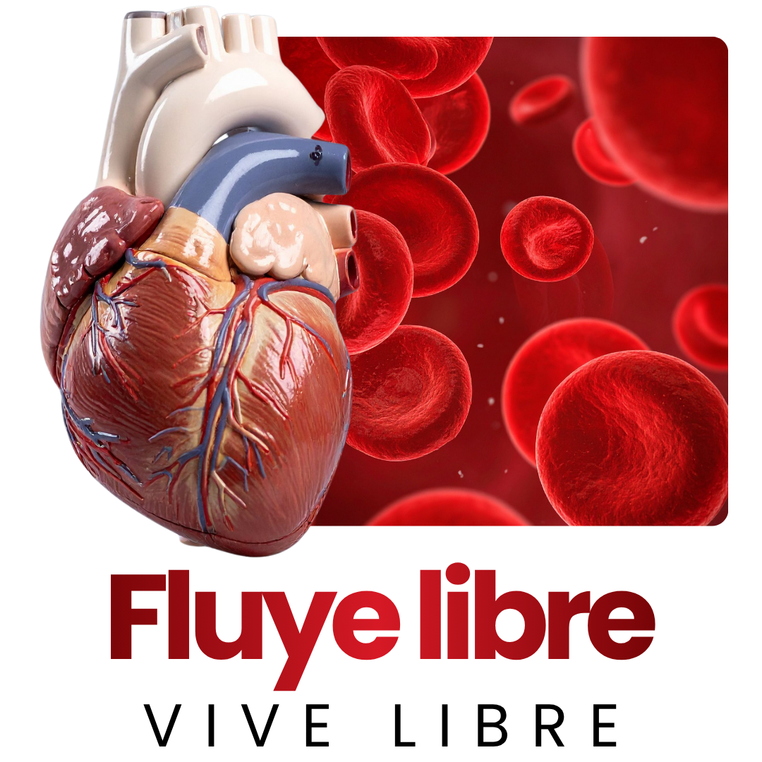 CARDIOCARE SOPORTE CIRCULATORIO