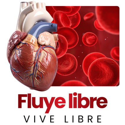 CARDIOCARE SOPORTE CIRCULATORIO